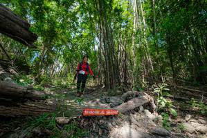 BIB: 
                            <button type="button" onclick="openModal(19393995)" class="btn btn-primary btn-sm float-right btn-popup" data-toggle="modal" data-target=".modal-high-quality">
                        <i class="fas fa-shopping-cart"></i> Add to Cart
                    </button>
                                            <button type="button" onclick="isThisMe(19393995, true)" class="btn btn-success btn-sm float-right btn-popup btn-isme hidden" data-toggle="tooltip" data-placement="bottom" title="นี่คือรูปของคุณใช่ไหม คลิกที่นี่เพื่อเอาเข้าอัลบั้ม">
                        <i class="fas fa-plus"></i> Add to album
                    </button>
                    <button type="button" onclick="isThisMe(19393995, false)" class="btn btn-warning btn-sm float-right btn-popup btn-isnotme hidden">
                        <i class="fas fa-ban"></i> Remove from album
                    </button>